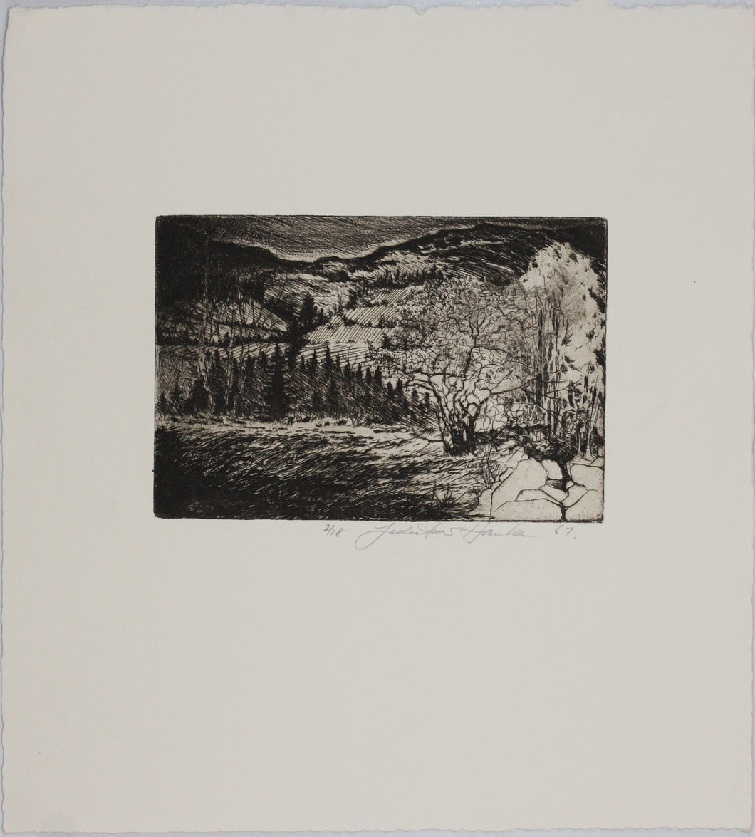 Ladislav Hanka. Landscape. Etching. 1987.
