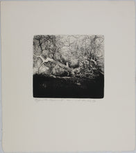 Load image into Gallery viewer, Ladislav Hanka. Beyond the Pavement. Etching. 1983.
