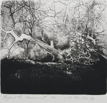 Load image into Gallery viewer, Ladislav Hanka. Beyond the Pavement. Etching. 1983.
