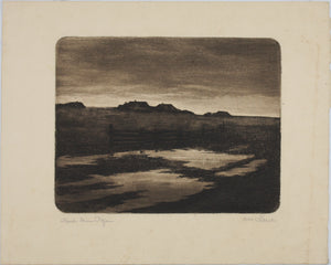 Anonymous. After the rain. Etching. Early XX C.