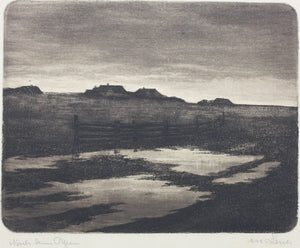 Anonymous. After the rain. Etching. Early XX C.