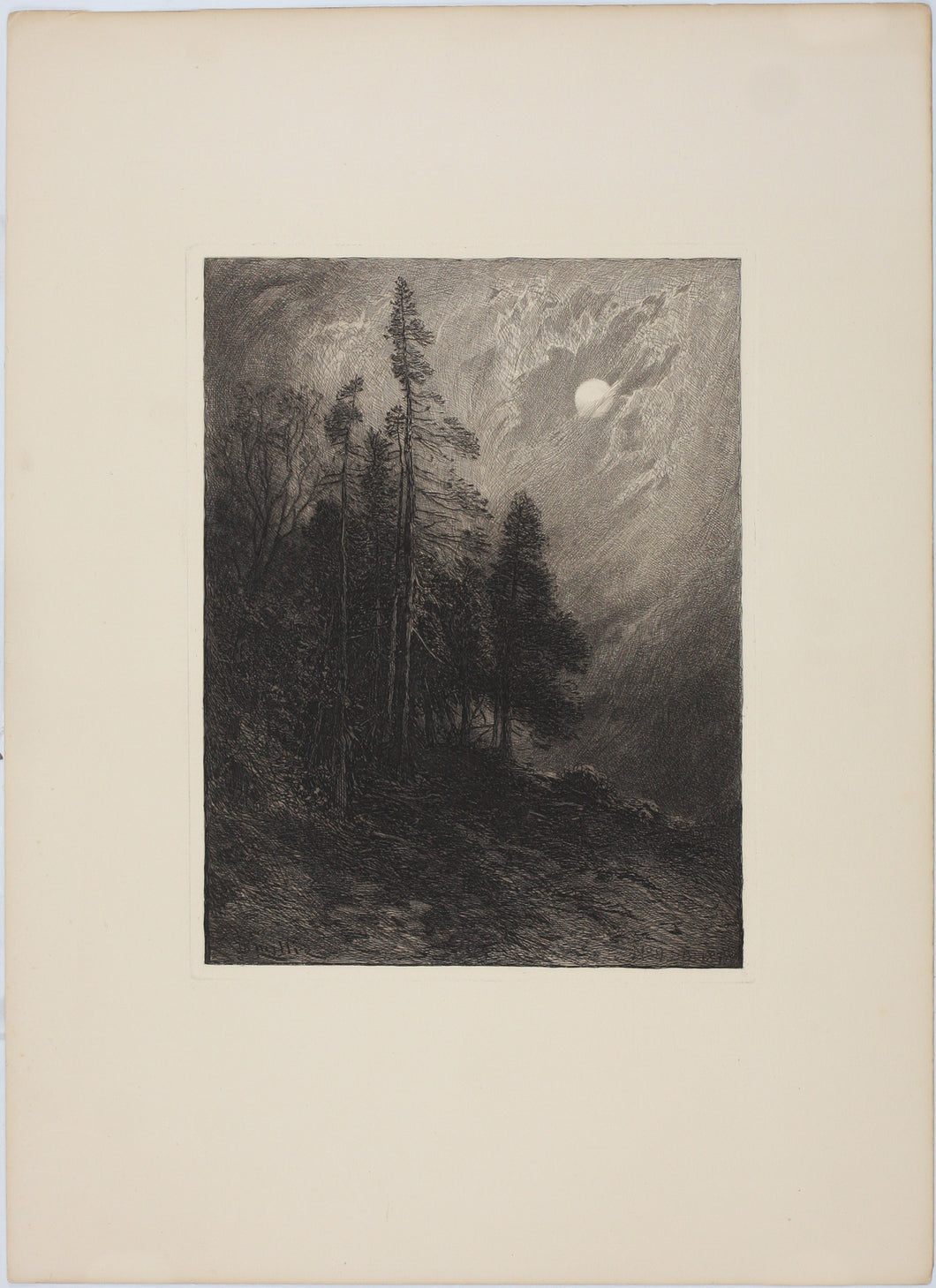 James David Smillie. Cedars by Moonlight. Etching. 1878.