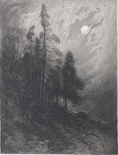 Load image into Gallery viewer, James David Smillie. Cedars by Moonlight. Etching. 1878.
