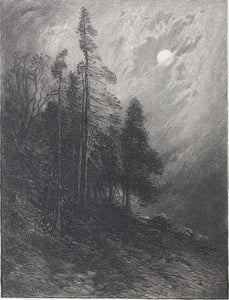 James David Smillie. Cedars by Moonlight. Etching. 1878.