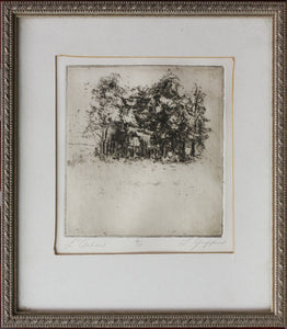 Leonardo da Vinci, after. Study of Trees. Etching by L. Giffin. XX C.