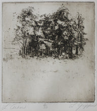 Load image into Gallery viewer, Leonardo da Vinci, after. Study of Trees. Etching by L. Giffin. XX C.
