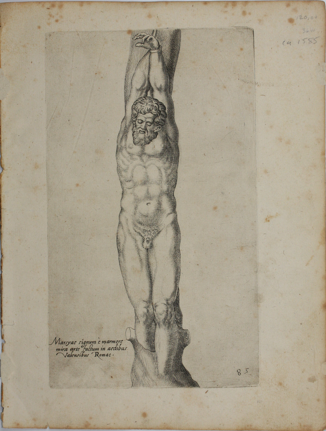 Giovanni Battista de' Cavalieri. Marsyas. Engraving. 1584 - 1585.