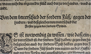 Jost Amman. How to shoe horses for winter riding. Woodcut by Monogrammist MB. 1584.