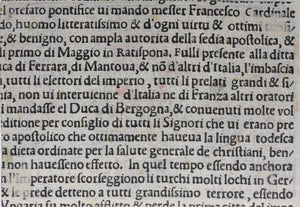 Italian School XVI C. View of Ravenna. Colored woodcut.