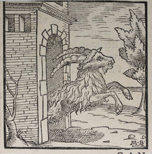Load image into Gallery viewer, Italian School XVI C. Monogrammist M.B. Capricorn. Woodcut.
