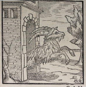Italian School XVI C. Monogrammist M.B. Capricorn. Woodcut.