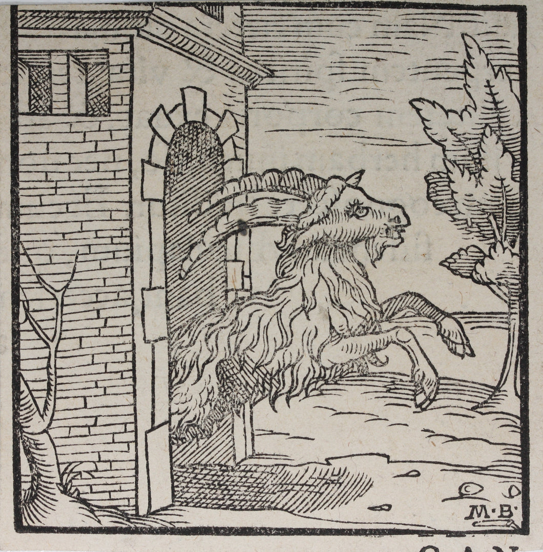 Italian School XVI C. Monogrammist M.B. Capricorn. Woodcut.