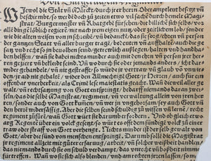 German School XVI C. Regents. Woodcut from Laienspiegel by Ulrich Tengler.