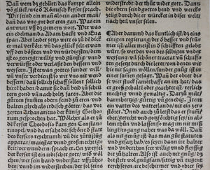 Johannes Adelphus. Die Türkisch Chronik. The Doge of Venice. Woodcut XVI C.