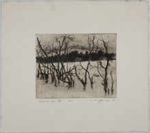 Load image into Gallery viewer, Ladislav R. Hanka. Twin Lakes III.  Etching. 1985.
