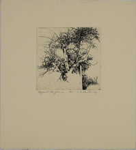 Load image into Gallery viewer, Ladislav R. Hanka. Beyond the Fence. Etching. 1983.
