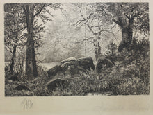 Load image into Gallery viewer, Rudolph Bleyer. Forest Landscape with Rocks and Stream. Etching. Late XIX – early XX century.
