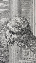 Load image into Gallery viewer, Paolo Veronese, after. Adoration of the Magi. Engraving by Nicolas Gabriel Dupuis. 1742.
