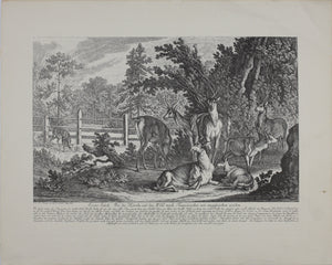 Johann Elias Ridinger, after. How the deer and the wild are addressed in the French style. Reproduction print.  XX Century.