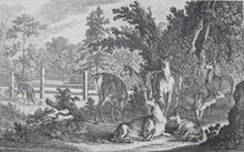 Load image into Gallery viewer, Johann Elias Ridinger, after. How the deer and the wild are addressed in the French style. Reproduction print.  XX Century.
