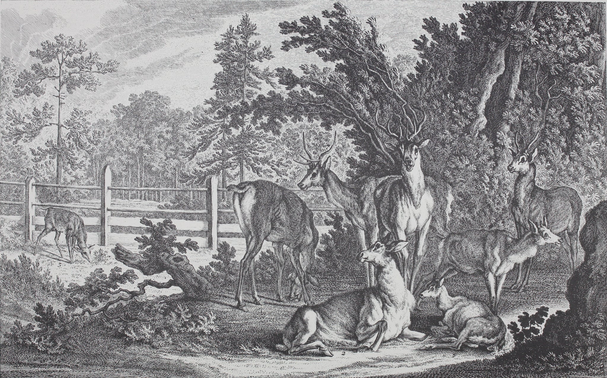 Barrie Tornado 2023 Today | TikTok, image size:2048x1276