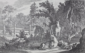 Johann Elias Ridinger, after. How the deer and the wild are addressed in the French style. Reproduction print.  XX Century.