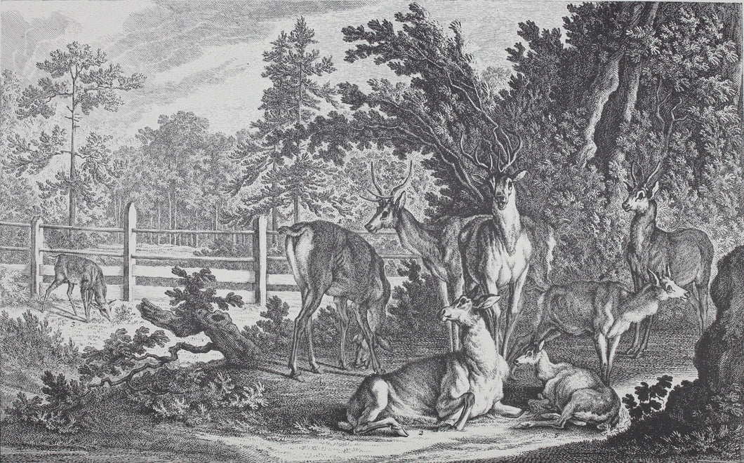 Johann Elias Ridinger, after. How the deer and the wild are addressed in the French style. Reproduction print.  XX Century.
