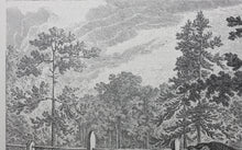 Load image into Gallery viewer, Johann Elias Ridinger, after. How the deer and the wild are addressed in the French style. Reproduction print.  XX Century.
