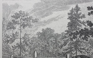 Johann Elias Ridinger, after. How the deer and the wild are addressed in the French style. Reproduction print.  XX Century.