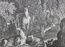 Load image into Gallery viewer, Johann Elias Ridinger, after. How the deer and the wild are addressed in the French style. Reproduction print.  XX Century.
