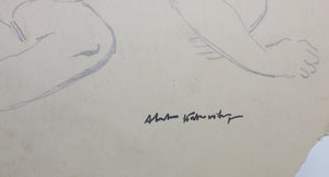 Study of male nude. Graphite drawing. XX C.