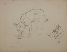 Load image into Gallery viewer, John Middleton Freeman. Sketch of a dog. Graphite drawing. 1938.

