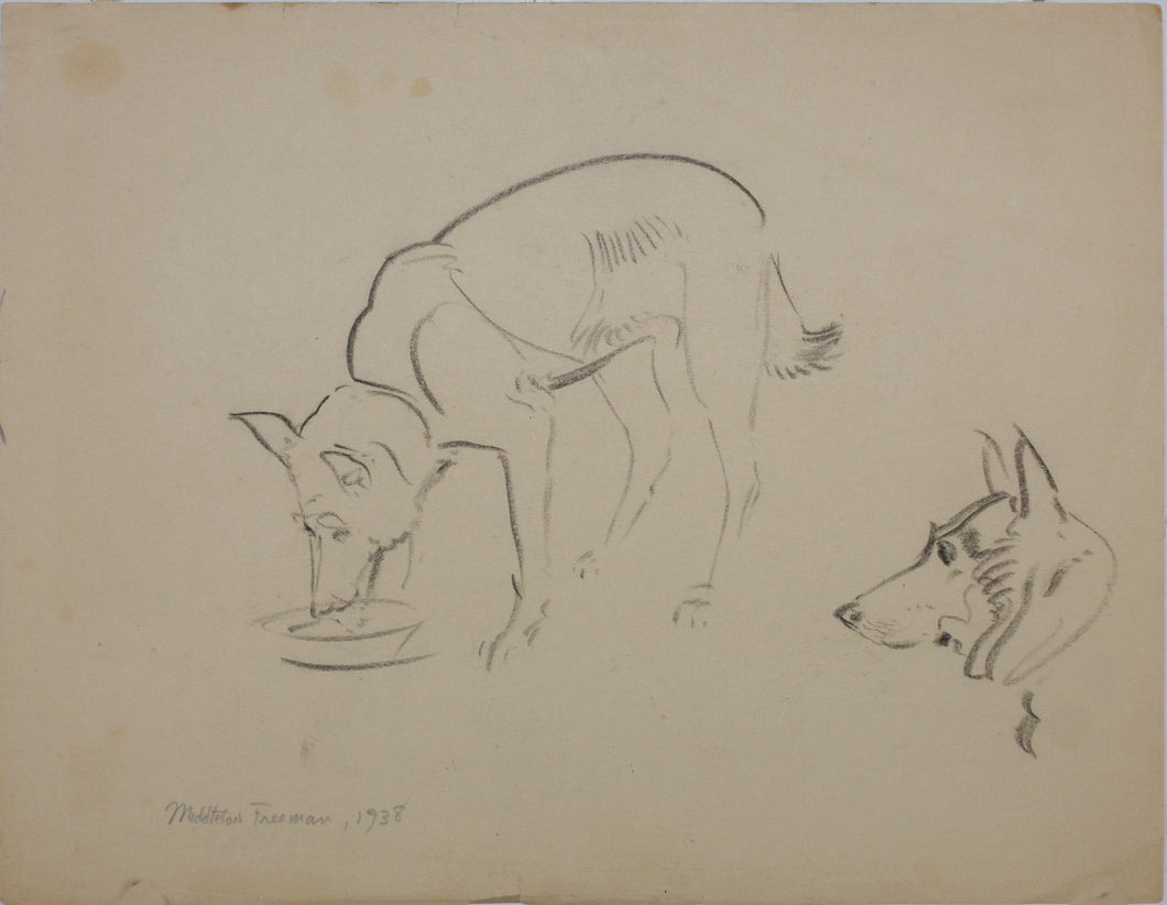 John Middleton Freeman. Sketch of a dog. Graphite drawing. 1938.