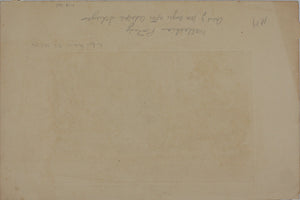 Christian Adolph Schreyer, after. Wallachian team. Etching by William Unger. 1880.
