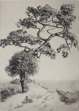 Load image into Gallery viewer, Walter Ronald Locke. Along the Gulf of Mexico. Florida. Etching. 1934.
