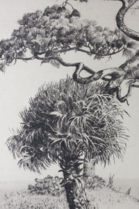 Walter Ronald Locke. Along the Gulf of Mexico. Florida. Etching. 1934.