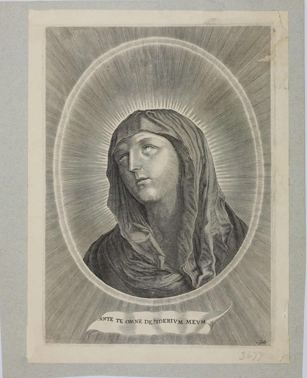 Guido Reni, after.  Adrian van Melar, after. The head of the Virgin. Engraving by C. Galle. Second half of the 17th century.