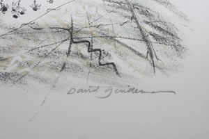 David Gentleman. Ralph Allen's Sham Castle. Lithograph. 1975