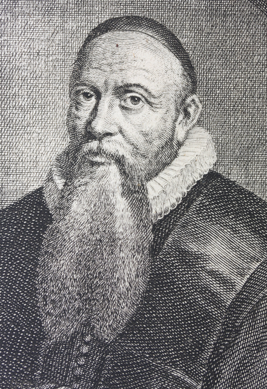 Monogrammist VG, after. Portrait of Jacobus Trigland. Engraving by Jacob Houbraken. 1749 - 1759 and/or 1796.