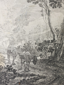 Jan Both. The Two Hinnies. Etching. 1640-1650.
