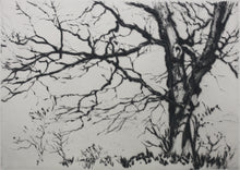 Load image into Gallery viewer, Samuel V. Chamberlain. A Study of trees. Drypoint. 1926.

