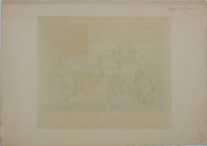 Alexandre-Gabriel Decamps, after. Fox Hunting. Etching by Daniel Mordant. Late 19th to early 20th c.