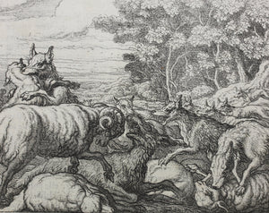 Francis Barlow. IX. The Wolves and Sheep. From Aesop's Fables. Etching. 1666.