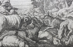Francis Barlow. IX. The Wolves and Sheep. From Aesop's Fables. Etching. 1666.