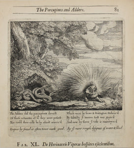 Francis Barlow. XL. The Porcupines and Adders. From Aesop's Fables. Etching. 1666.