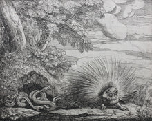 Load image into Gallery viewer, Francis Barlow. XL. The Porcupines and Adders. From Aesop&#39;s Fables. Etching. 1666.

