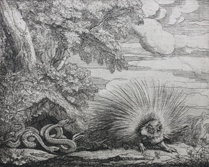 Francis Barlow. XL. The Porcupines and Adders. From Aesop's Fables. Etching. 1666.