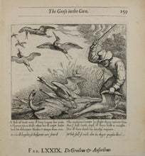 Load image into Gallery viewer, Francis Barlow. LXXIX. The Geese in the Corn. From Aesop&#39;s Fables. Etching. 1666.
