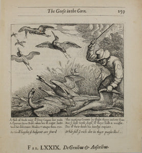 Francis Barlow. LXXIX. The Geese in the Corn. From Aesop's Fables. Etching. 1666.