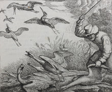 Load image into Gallery viewer, Francis Barlow. LXXIX. The Geese in the Corn. From Aesop&#39;s Fables. Etching. 1666.
